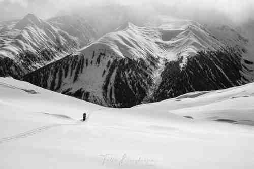 Lonely tracks in the realm of snow