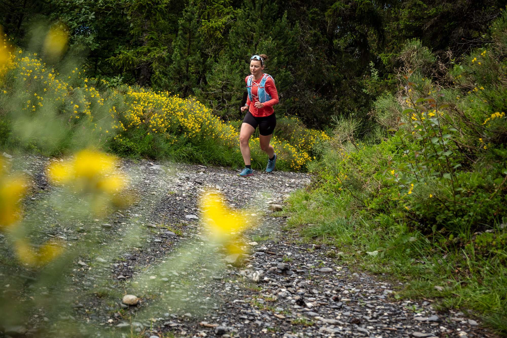 Surprise altitude meters