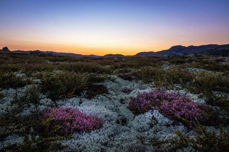 Juli 2024 – Abendstimmung im norwegischen Fjell