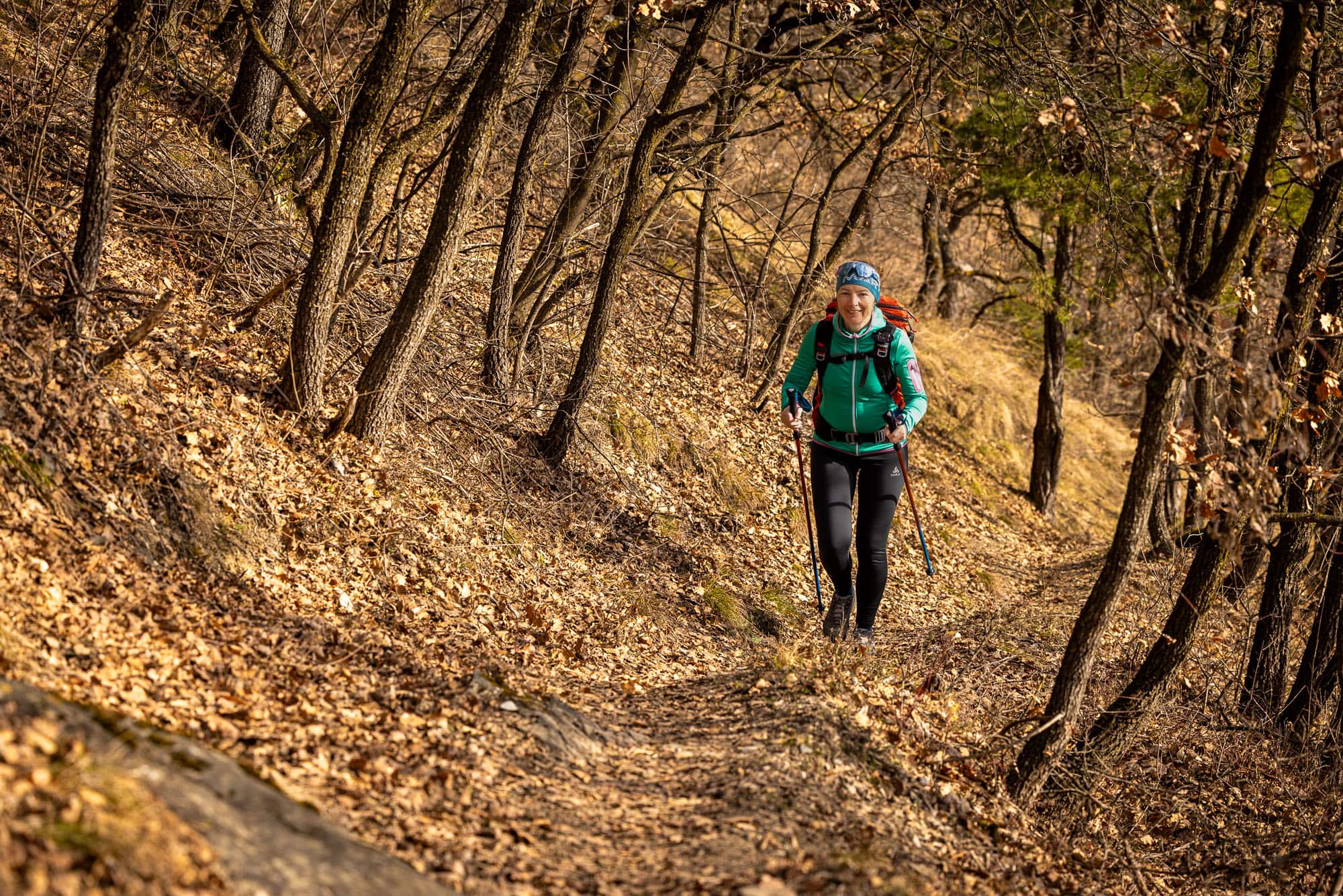 Be careful in spring: Leaves cover paths and pose a tick risk