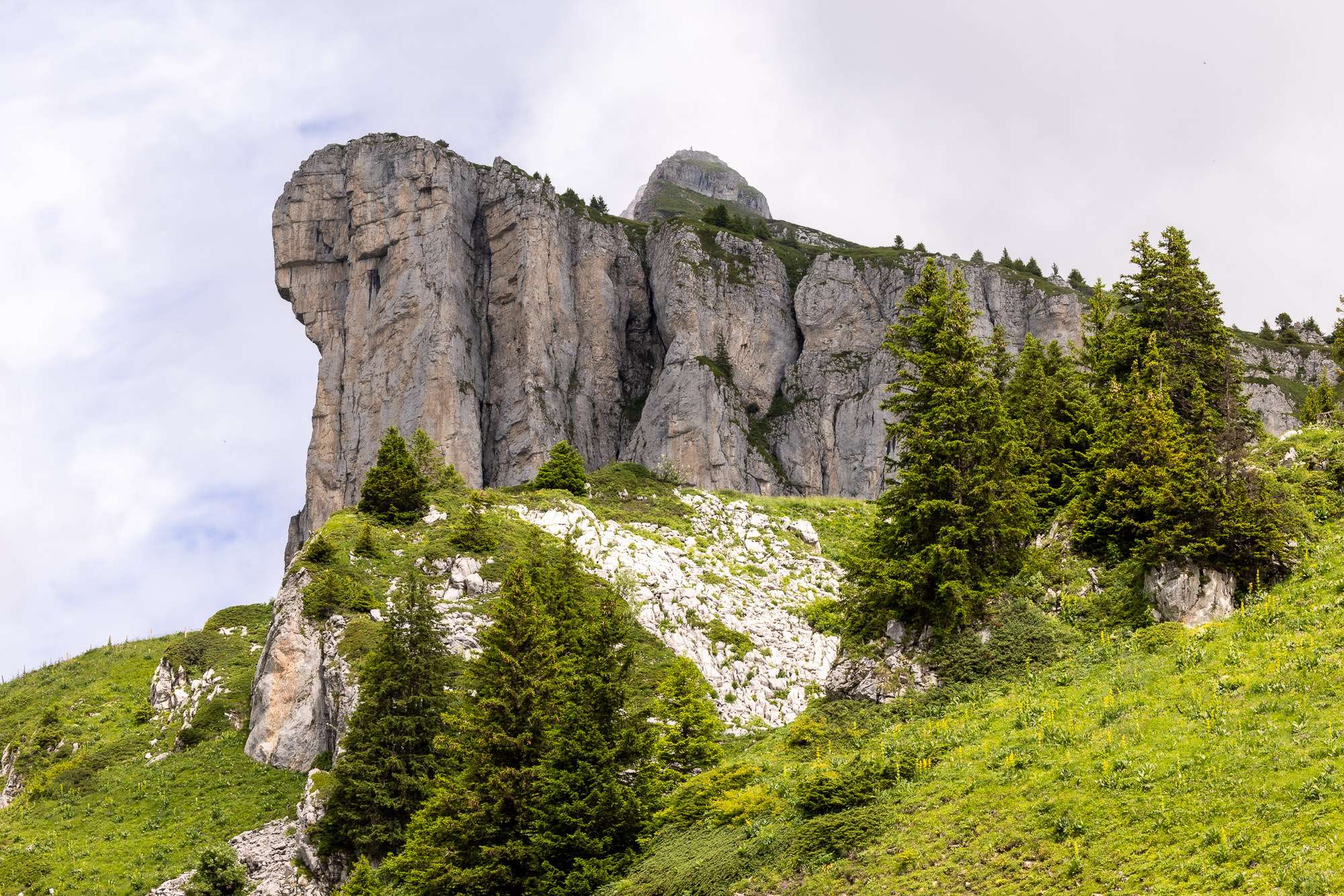 Stone cathedral