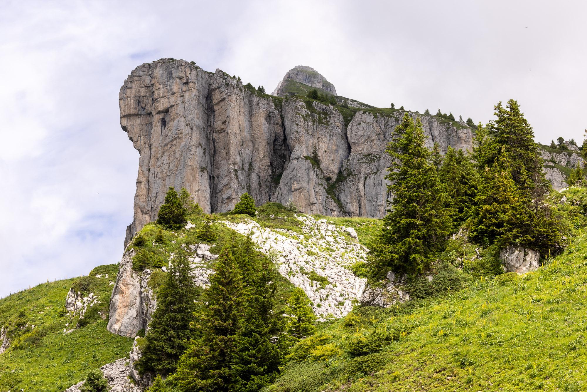 Stone cathedral