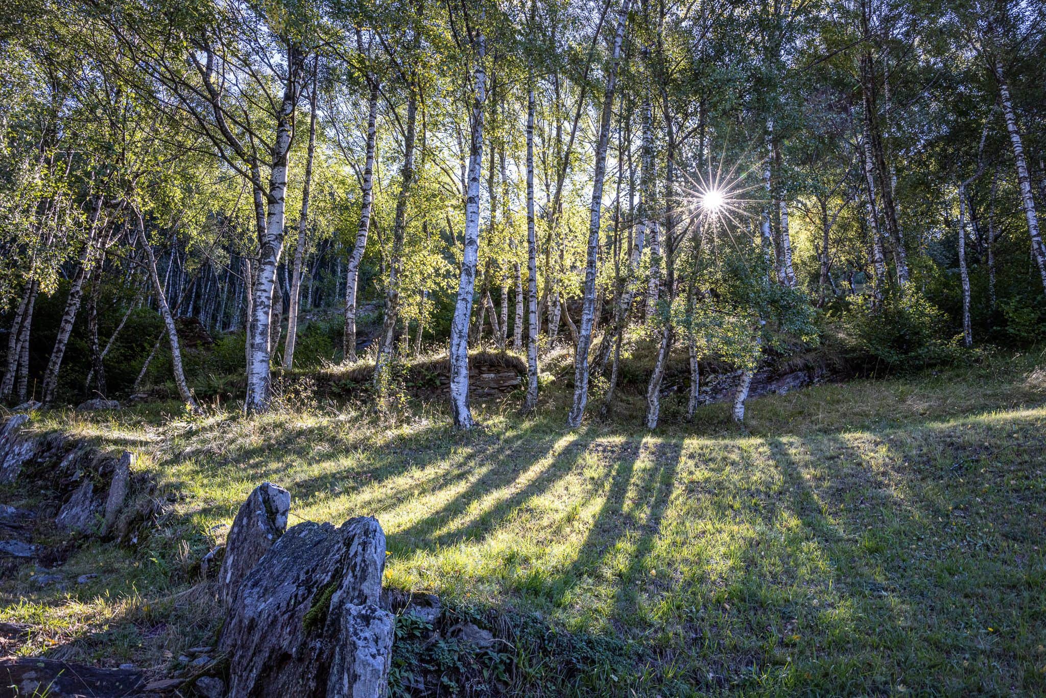 Long shadows, but no long faces.
