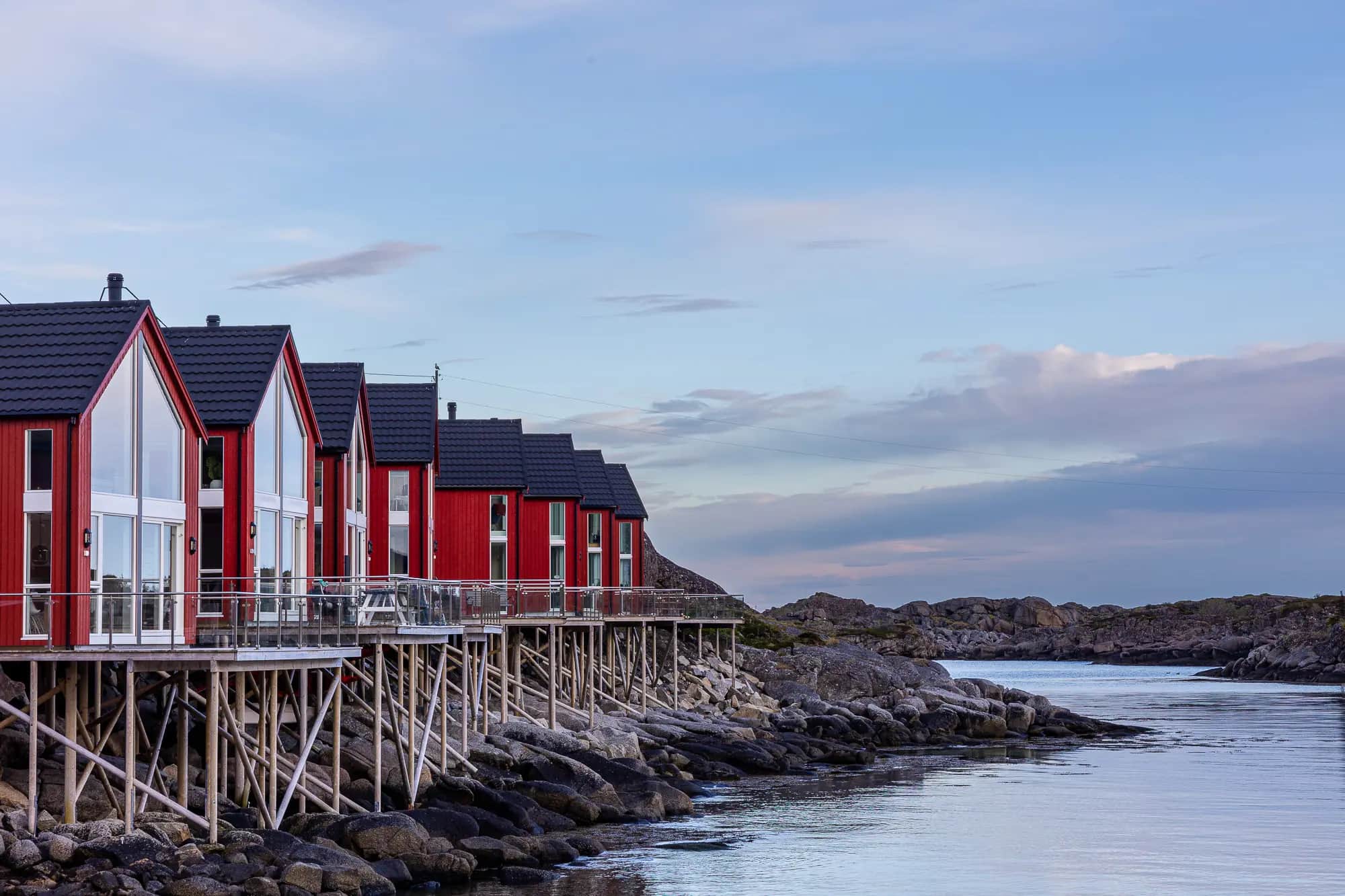 Color contrasts in the rough nature