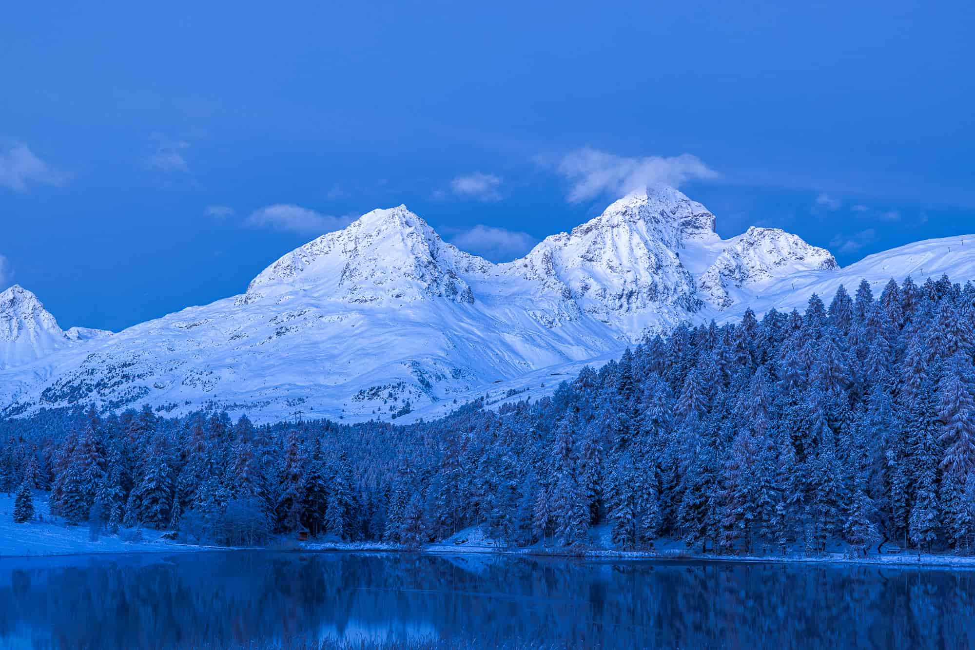 January 2025 - Icy climate on social media