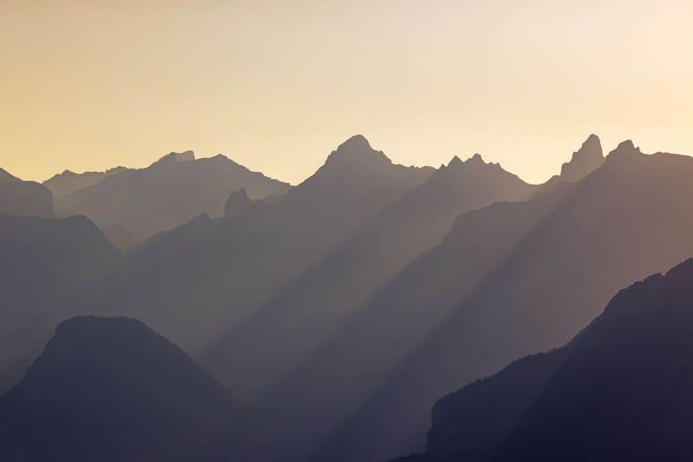 August 2023 - Rays of sunshine