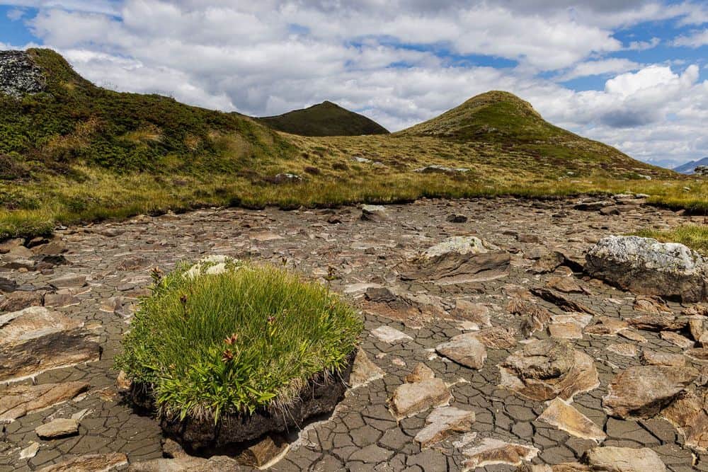 Remote Work against Climate Change?