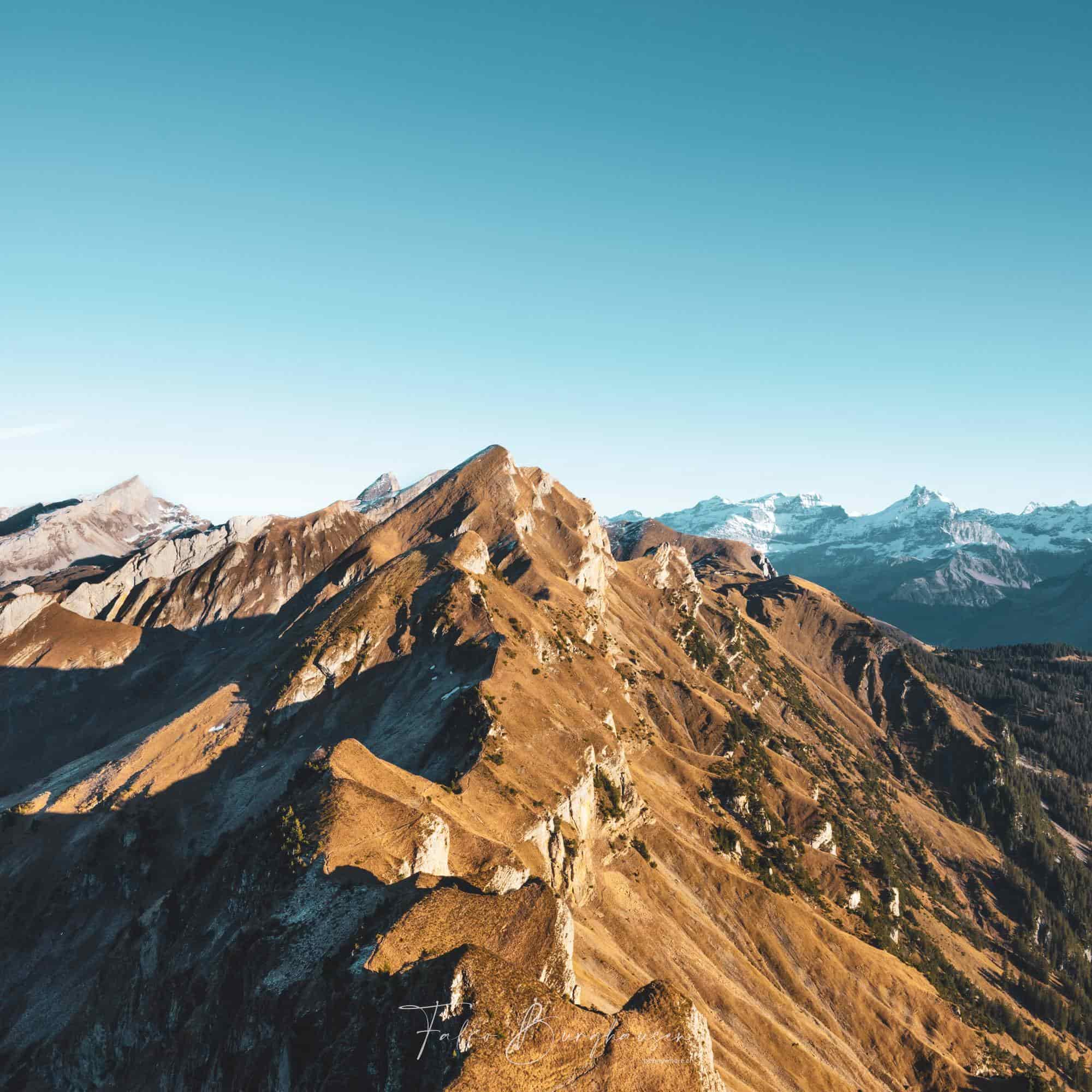 Alpine Panorama in a Square