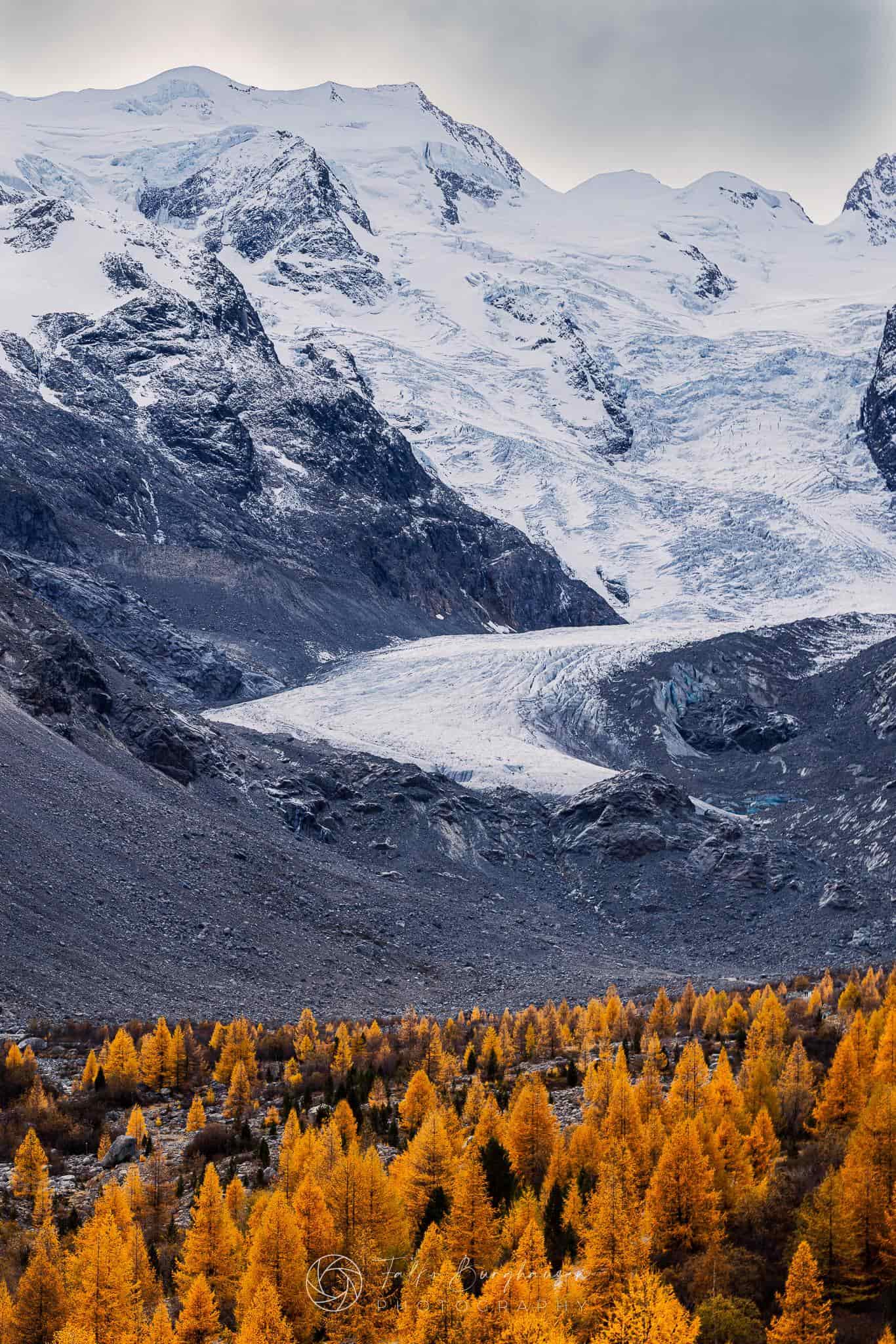 Fall magic in Morteratsch