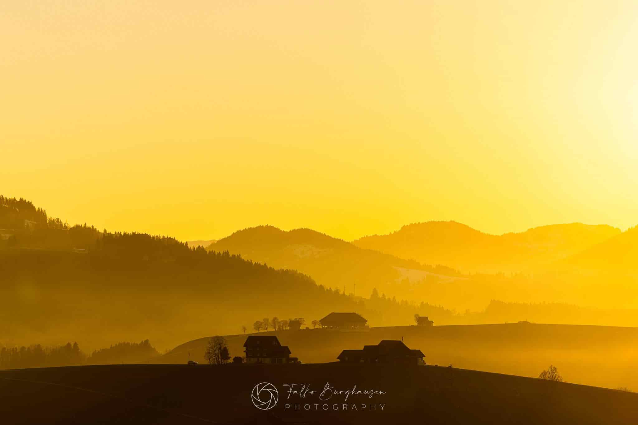 Liquid Summer Gold