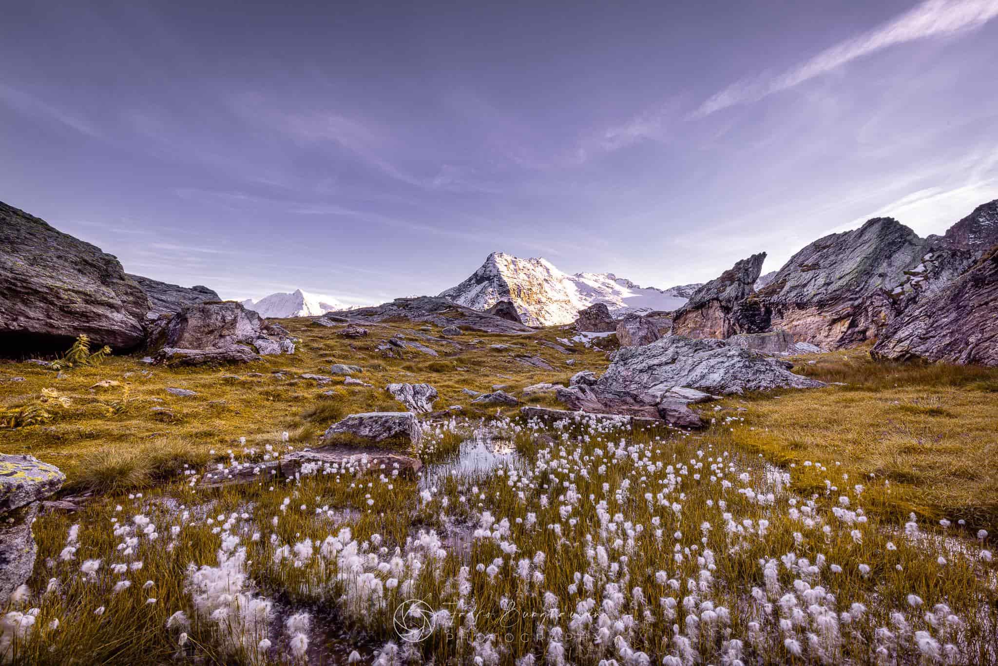Alpine Symphony of Silence